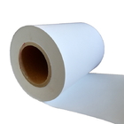 75UM Synthetic Paper 62G 19.5N Self Adhesive Labels Roll
