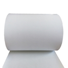 SGS Synthetic Frozen Product 75UM Blank Self Adhesive Labels